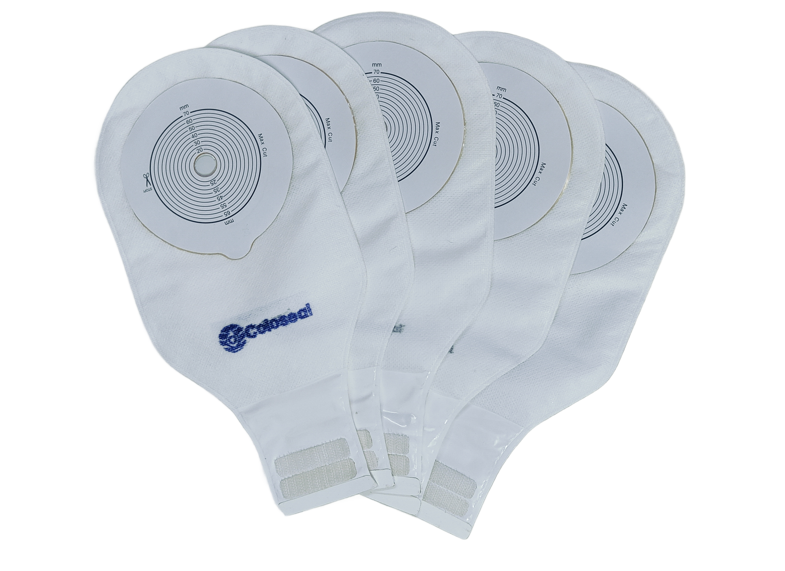 Coloseal
